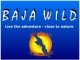 Baja Wild 
