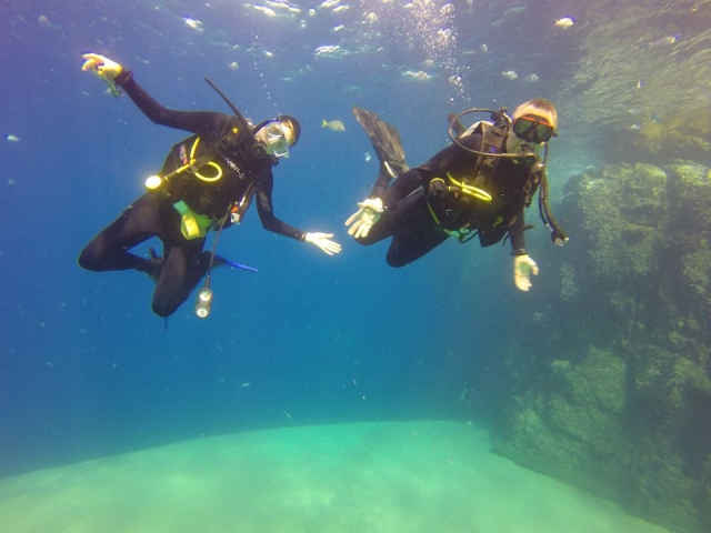 Vive el buceo