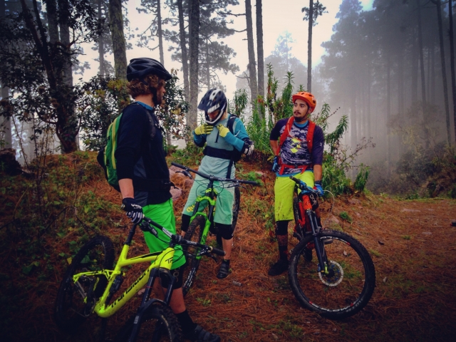  VTT 