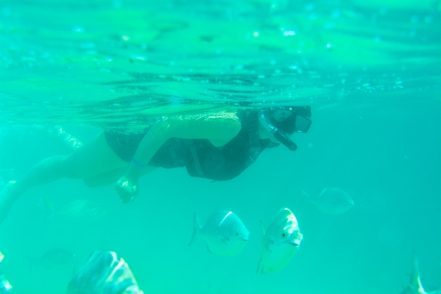  Snorkel Chileno 