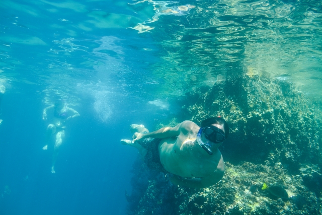  Escursione di snorkeling 