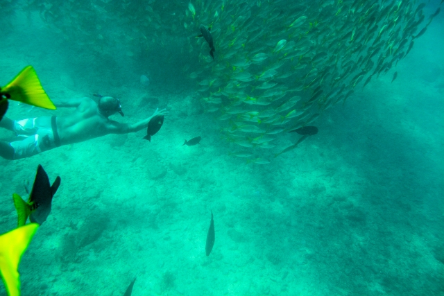  Guida allo snorkeling 