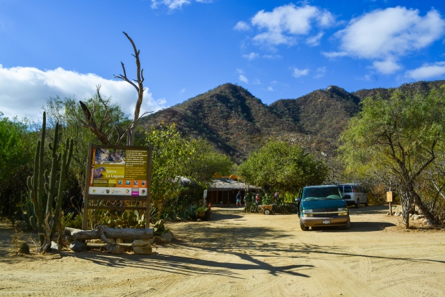  Sol de Mayo 