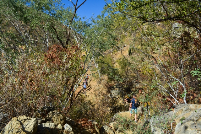  Caminhada 