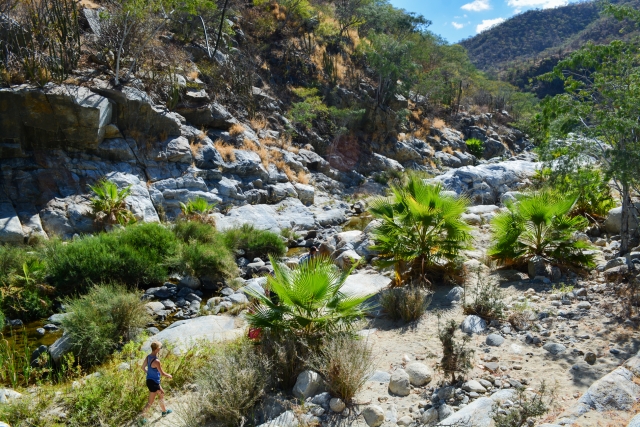  Paisagem 