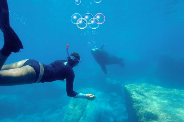  Snorkeling 