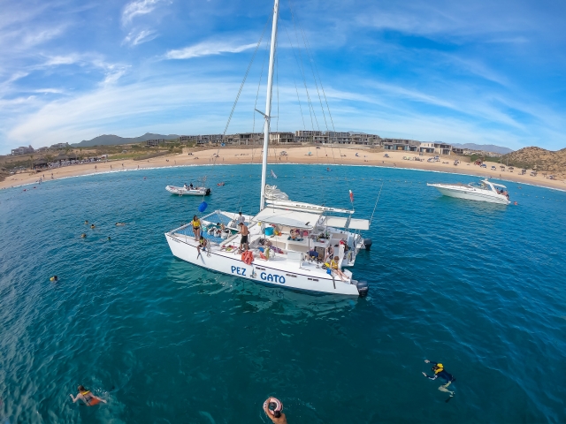 Snorkel en la bahía
