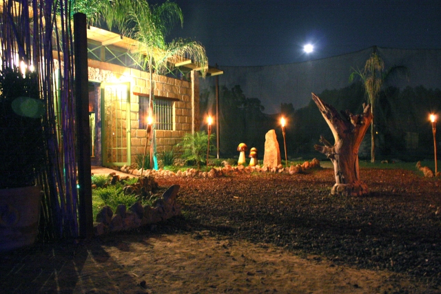  at night! 