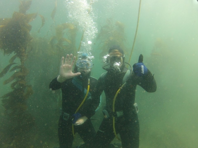  Immersioni 