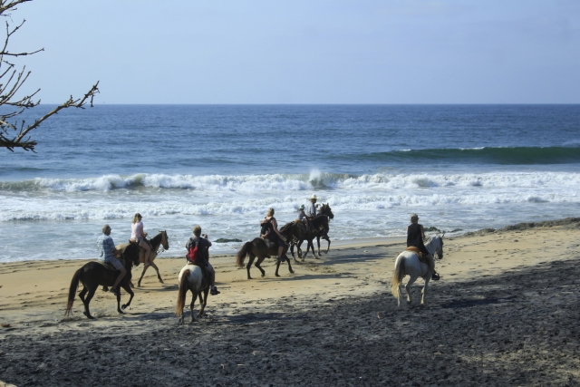 Caballo