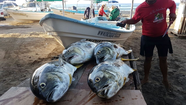  RMC Fishing 