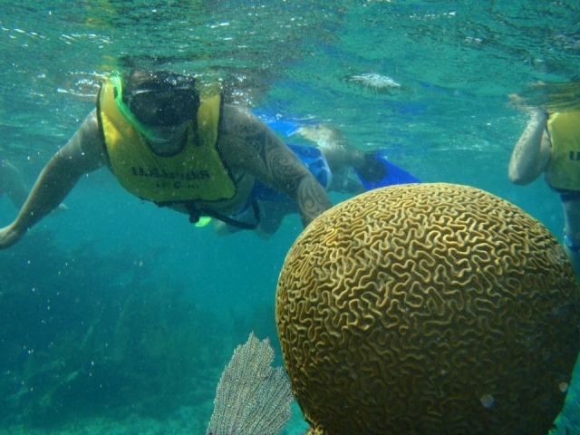Explorando arrecife de coral