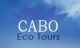 Cabo Eco Tours Snorkel