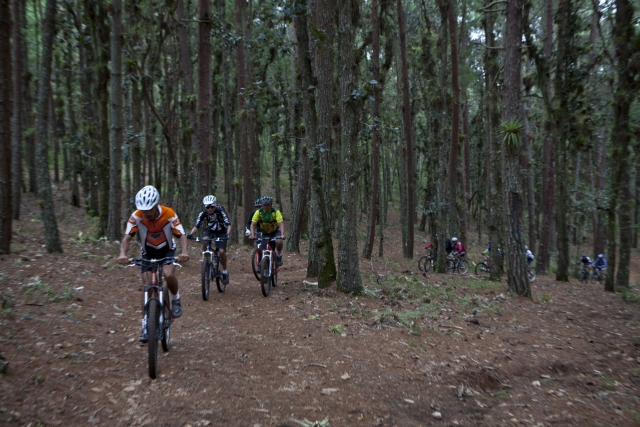 Recorrido en el bosque