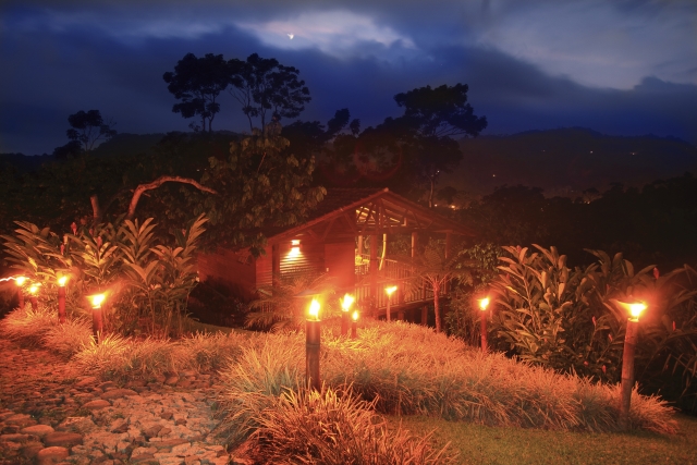  Visite nocturne 