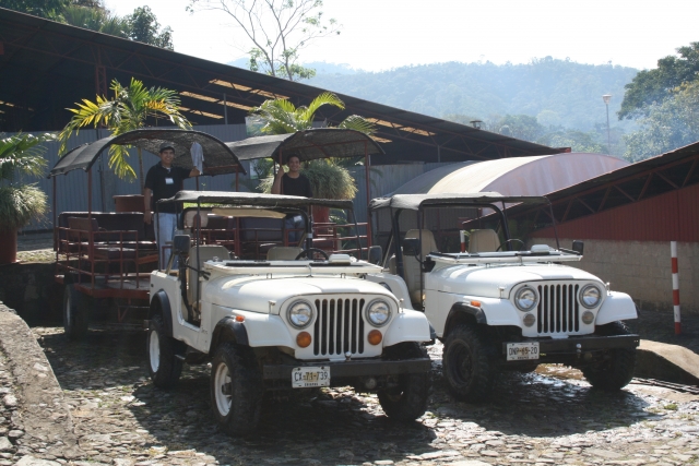  Transport pour touristes 