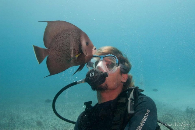  Unterwasserschönheit 