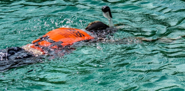 Vive esta experiencia con nosotros