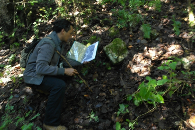  guide 
