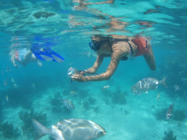  Mergulho com snorkel 