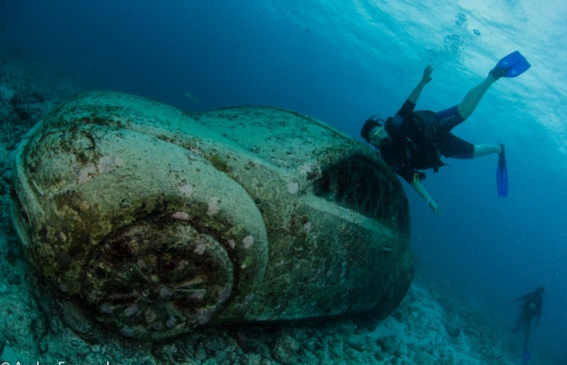 Bucea las profunidades
