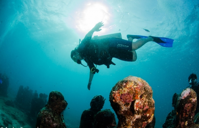 Desciende hasta las rocas