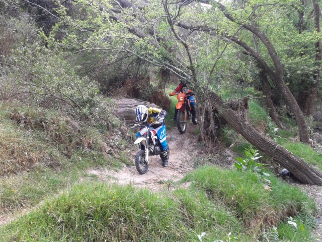  Enduro 