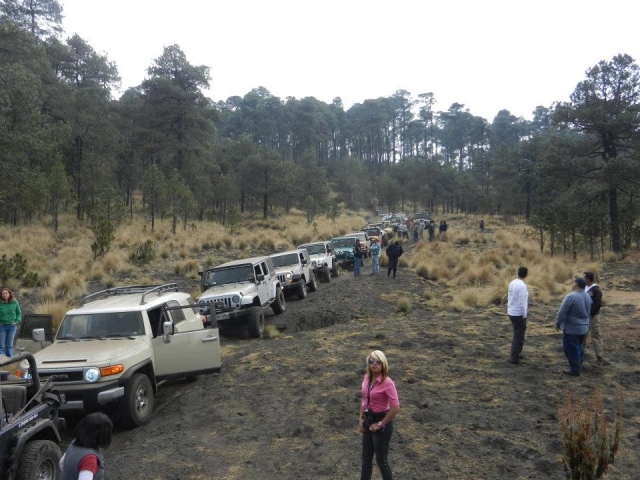  Jeeps 
