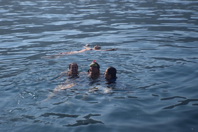  snorkeling 