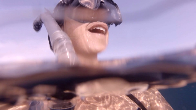  snorkeling in the bay 