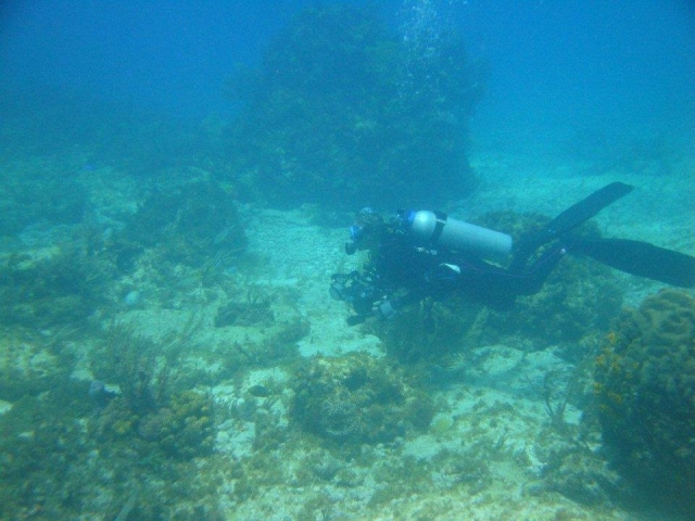  Entdecken Sie den Meeresboden 