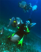  Genießen Sie die Unterwasserwelt 