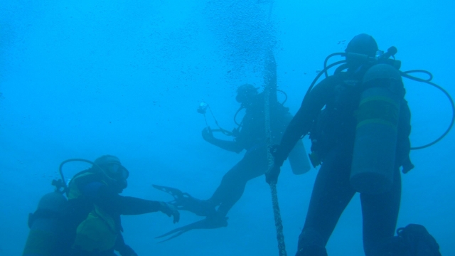 Photographier en plongée