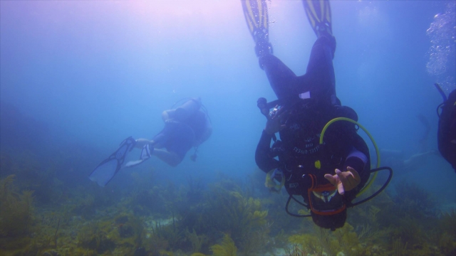 Plongez avec vos amis