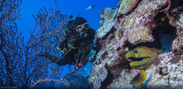 探索海洋宝藏 
