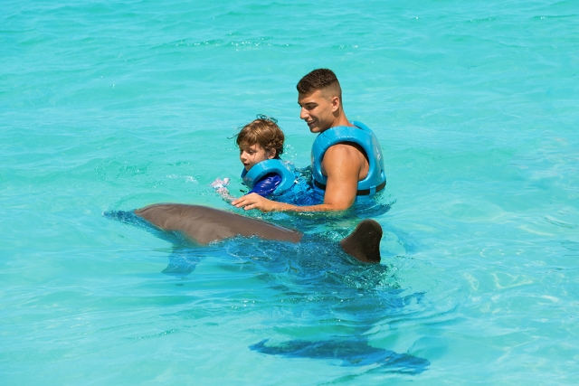  swimming with dolphins dad and son 