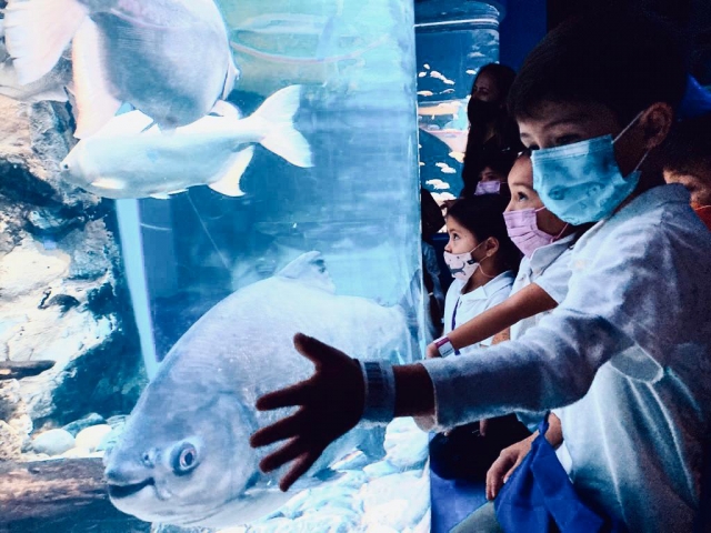  Tactile fish tanks 