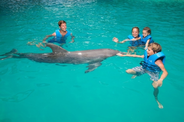  Caressing a dolphin 