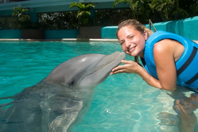  Dolphin kiss