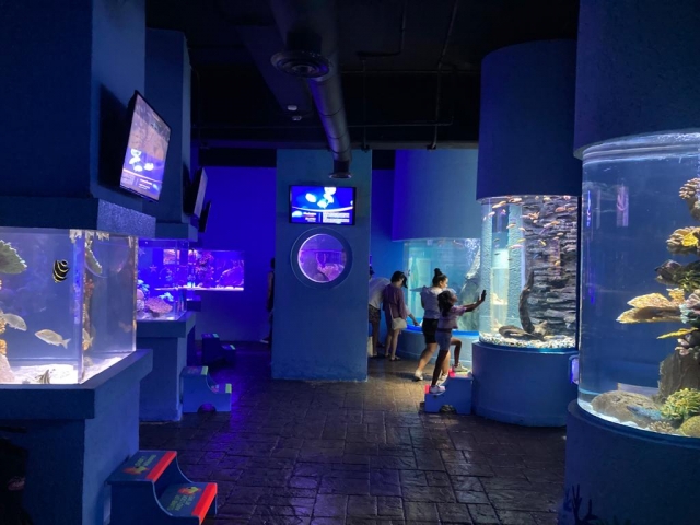  Interagire con gli acquari dell'acquario 