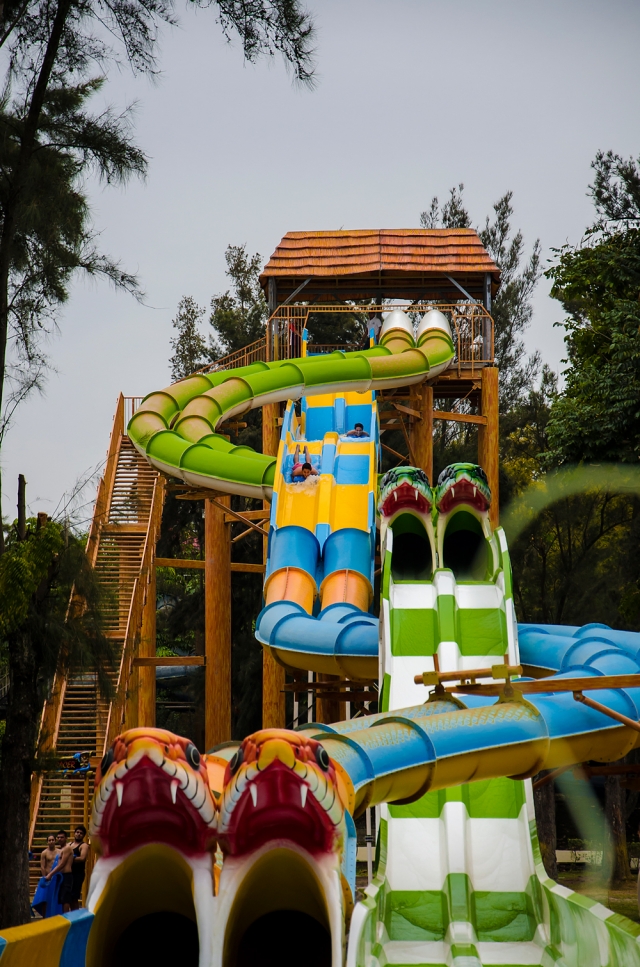 Snake Racer