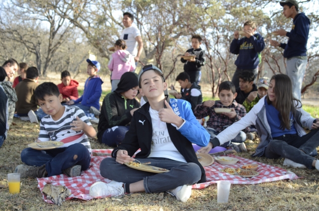  Picknick mittendrin Natur 