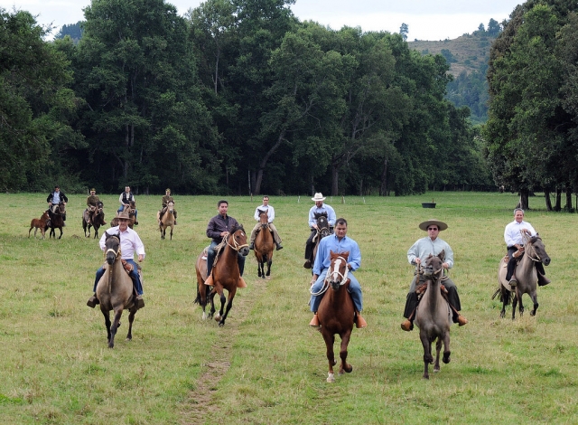 Équitation 