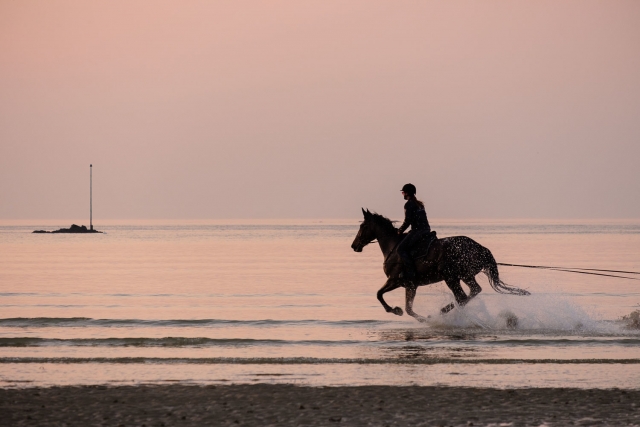  Reiten 