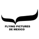 Flying Pictures