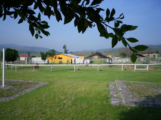  Servizi 