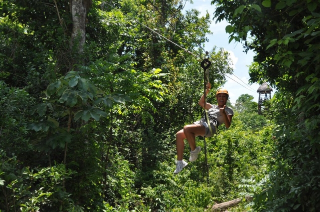  Canopy 