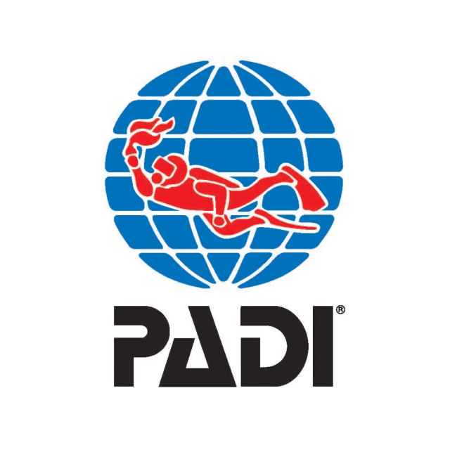 padi.jpg