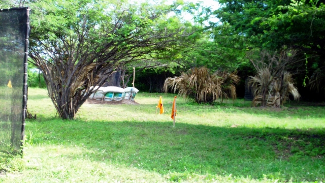 Campo 1
