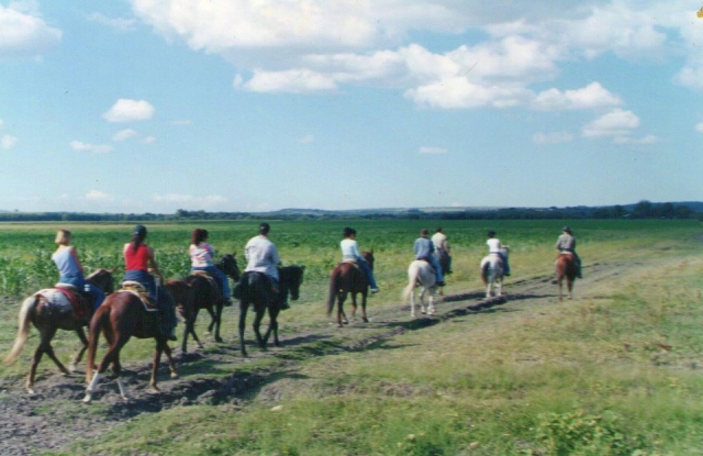  Group horseback riding 